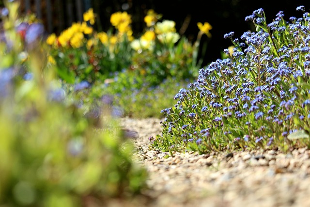 Jardin et campagnol terrestre